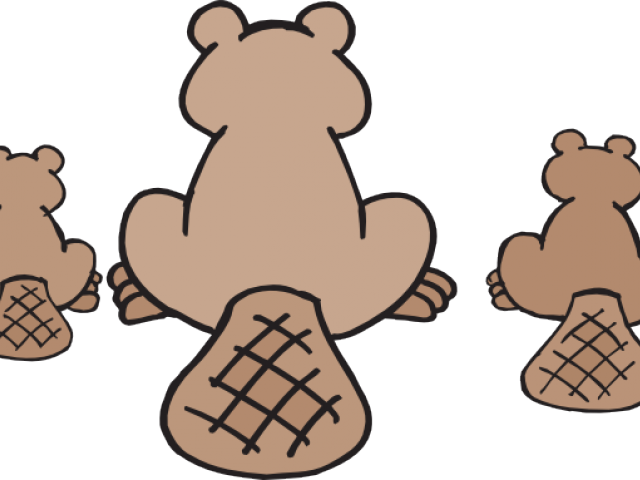 Beaver Png (640x480), Png Download