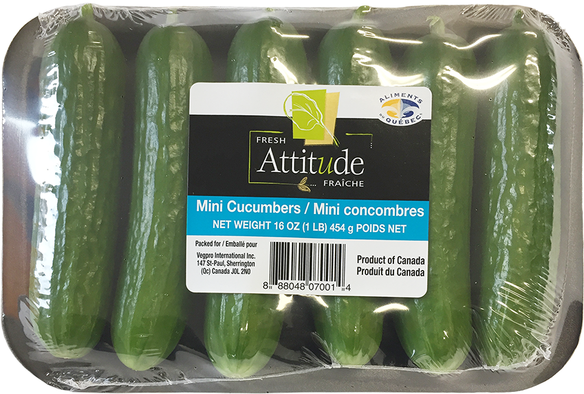 Download English And Mini Cucumbers PNG Image with No Background