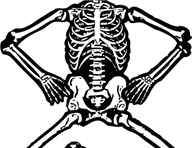 Skeleton Clipart Halloween (640x480), Png Download