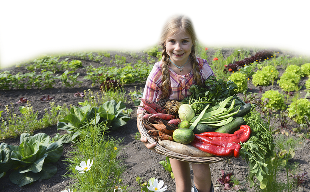 In Our Pilot Year, More Than 110 Children Participated (1041x643), Png Download