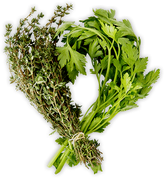 Herbs - People - (1820x600), Png Download