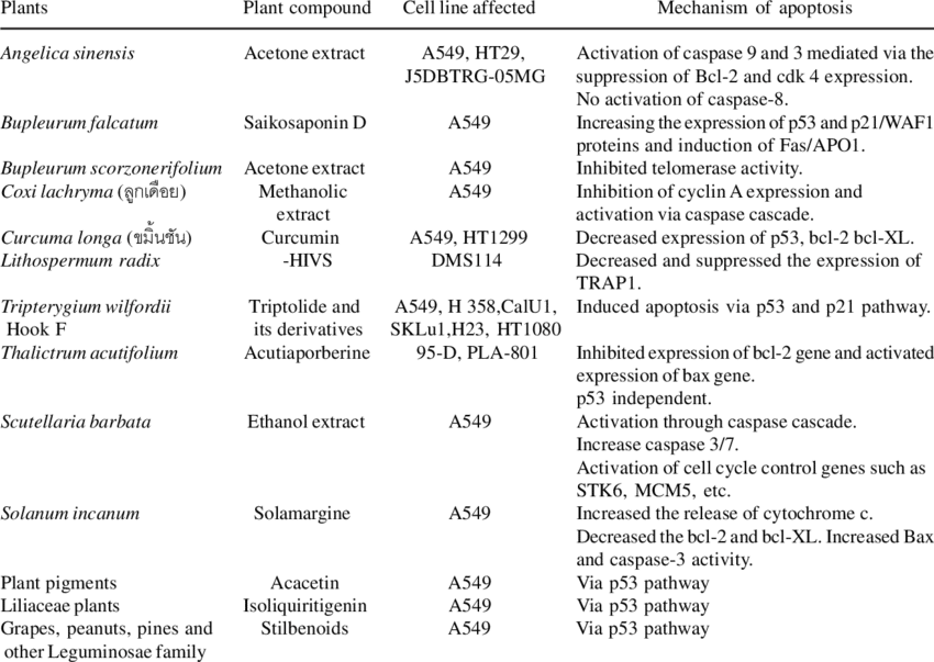 Summary Of The Molecular Mechanism Of Medicinal Herbs (850x603), Png Download