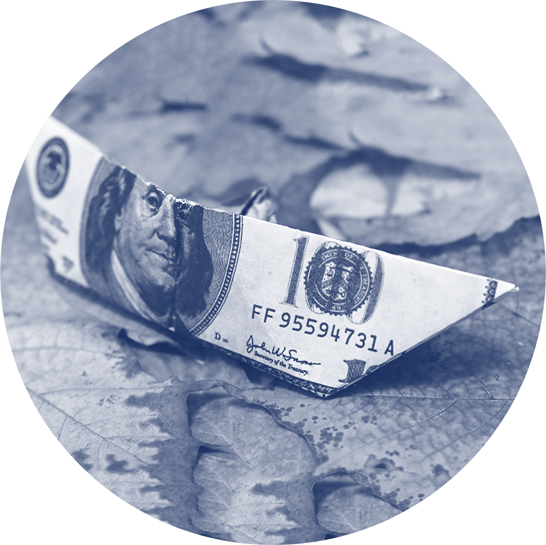 $20b (1118x1117), Png Download