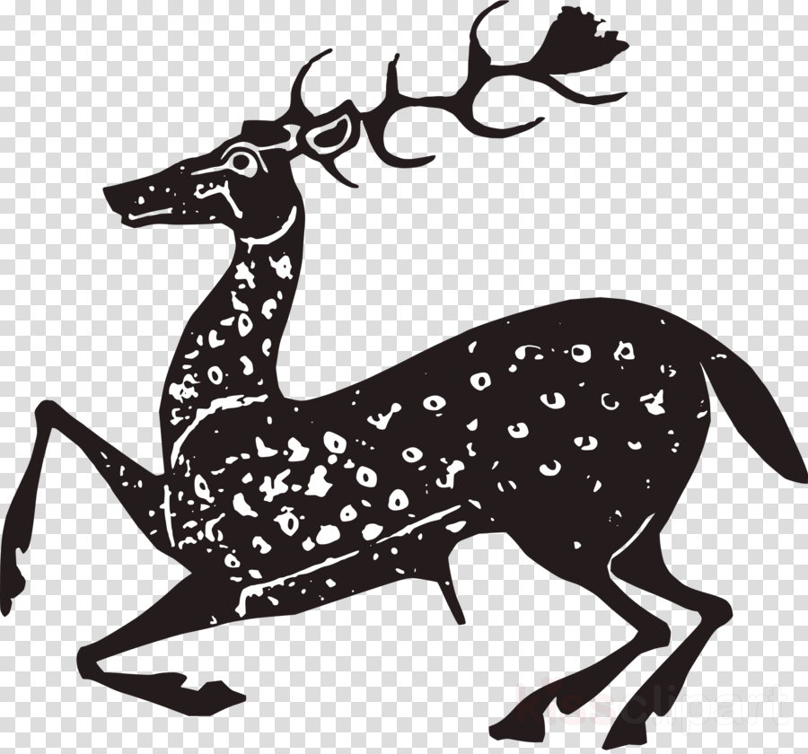 Deer (900x840), Png Download