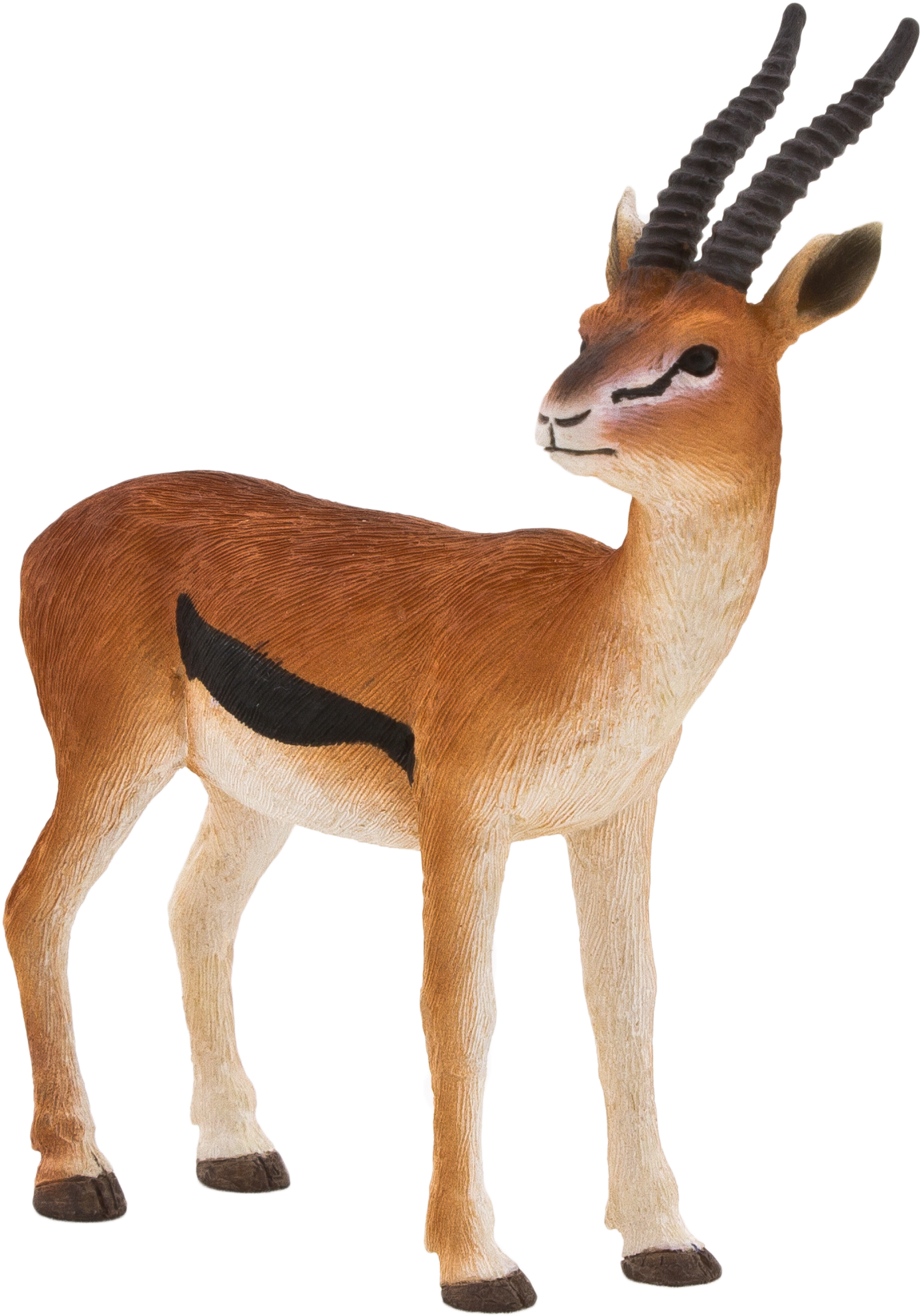 Download Mojo Thomson Gazelle Png Mojo Thomsons Gazelle Fun Png Image With No Background Pngkey Com