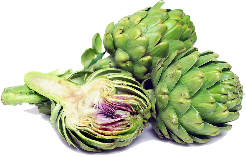 Artichokes Png Transparent Image (800x510), Png Download