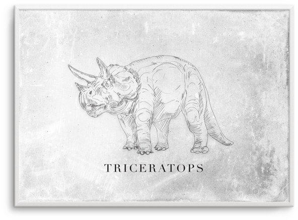 Triceratops Ls (600x740), Png Download