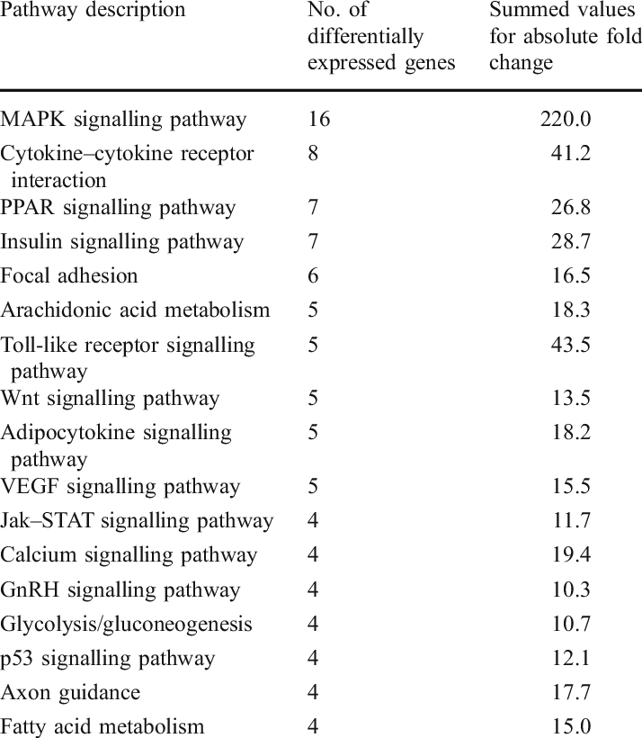 Signalling Pathways After Acute Exercise In Descend- (714x820), Png Download