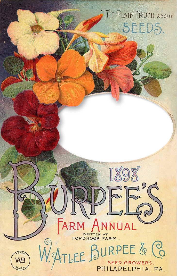 Wings Of Whimsy (730x1137), Png Download