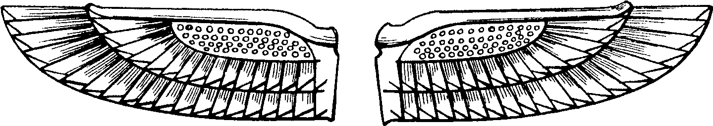 Image Library Library Egypt Drawing Wings (1518x356), Png Download