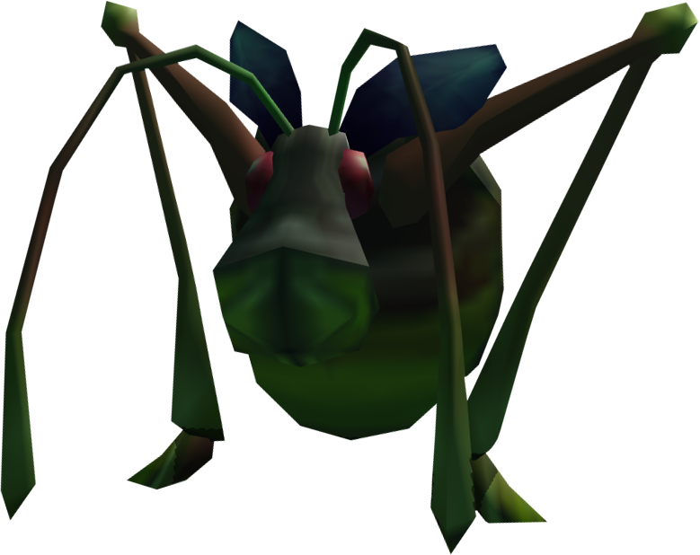 Beetle Png (779x618), Png Download