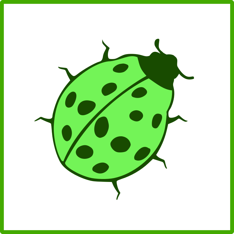 Beetle Icon (800x800), Png Download