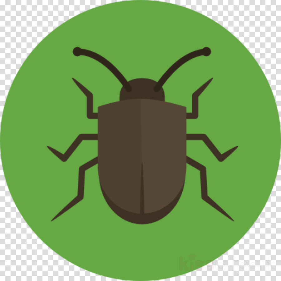 Bug Icon Flat Clipart Beetle Computer Icons (900x900), Png Download
