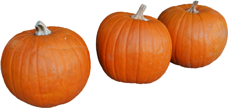 Pumkin Png (1098x727), Png Download