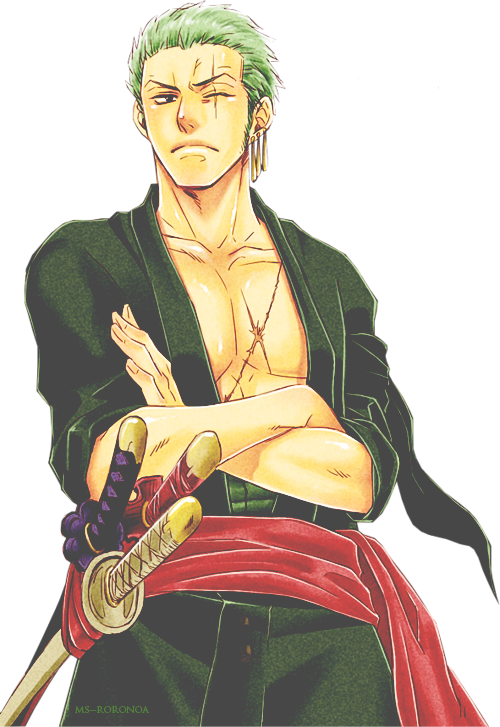 Tumblr Zoro One Piece, One Piece Anime, Roronoa Zoro, (500x727), Png Download