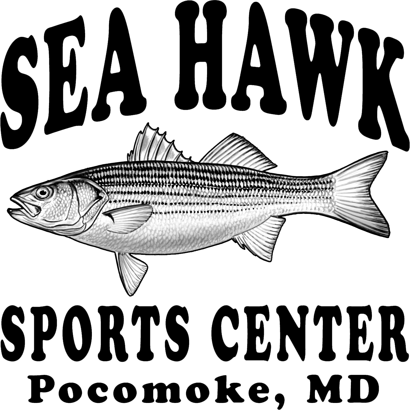 Sea Hawk Sports Center (1388x1390), Png Download