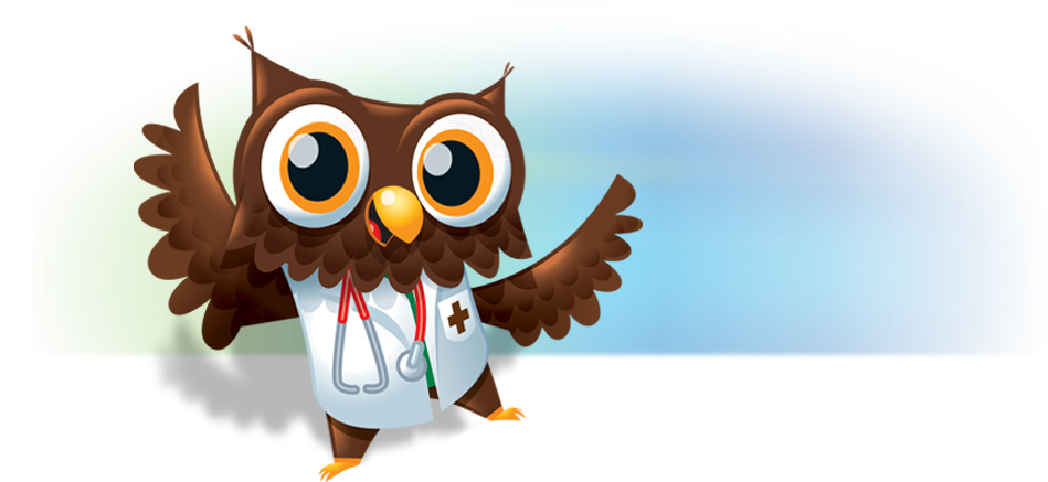 Big-owl (949x437), Png Download