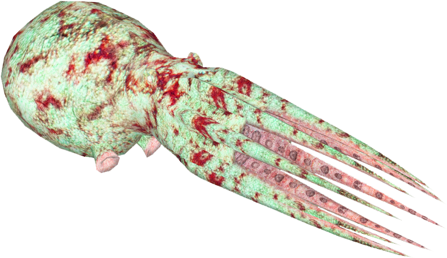 Caribbean Reef Octopus 8 (899x899), Png Download