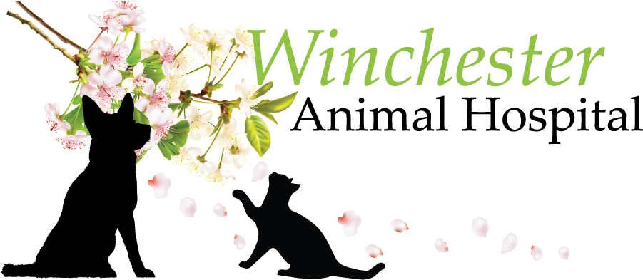 Winchester Png (1200x400), Png Download