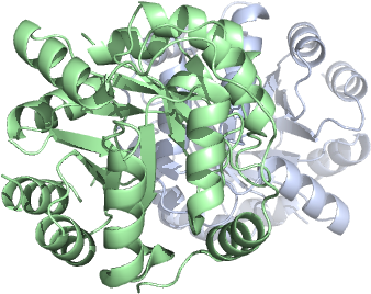 Pill Capsule Png (640x480), Png Download