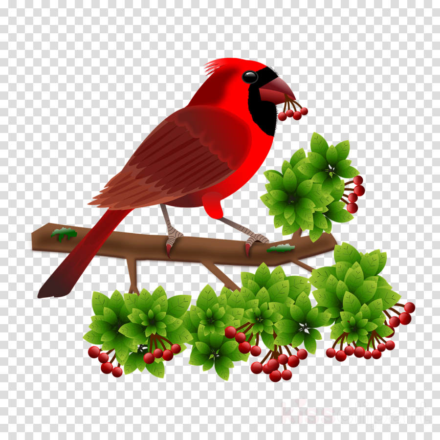 Black Circle Clipart Snow Globes Bird (900x900), Png Download