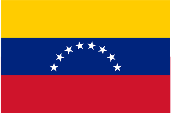 Venezuelan Flag Medium (570x600), Png Download