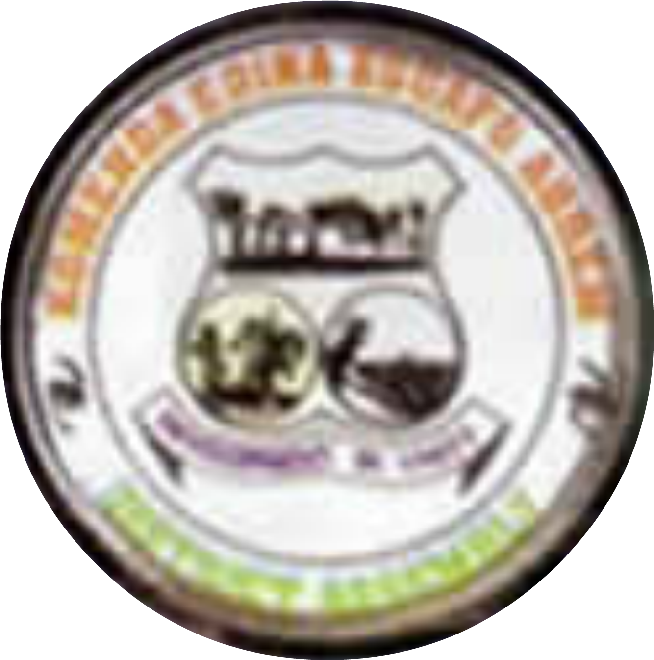 Komenda Edina Eguafo Abirem Municipal Logo (1368x1389), Png Download