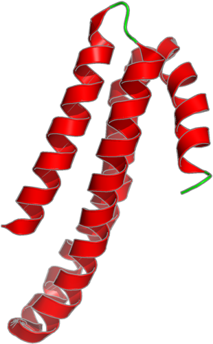 Peppers.png (800x600), Png Download
