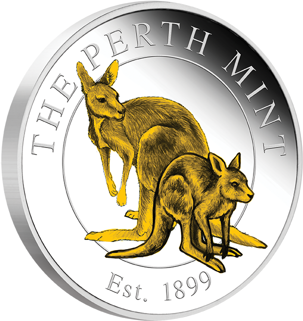 Pmkanga, Silver Kangaroo Personalized Medallion, (624x709), Png Download