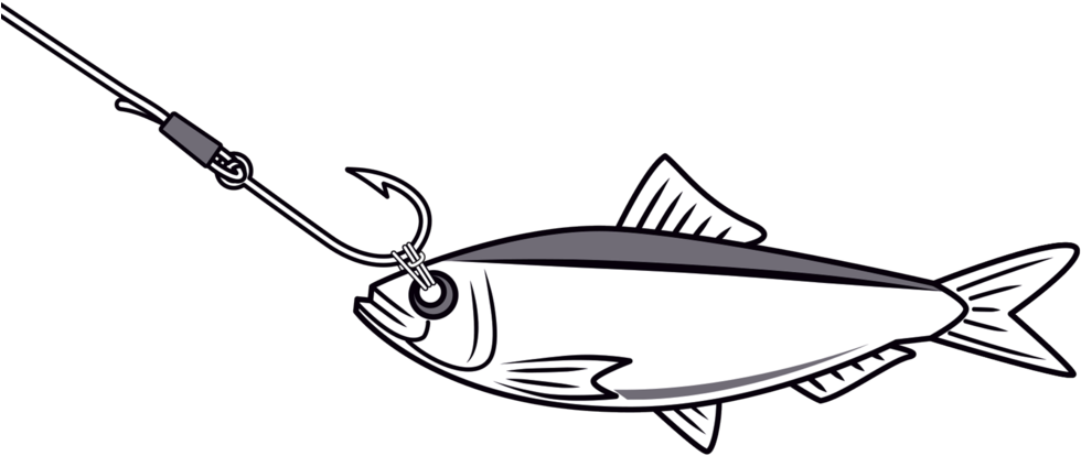 Bridle Live Bait (1000x667), Png Download
