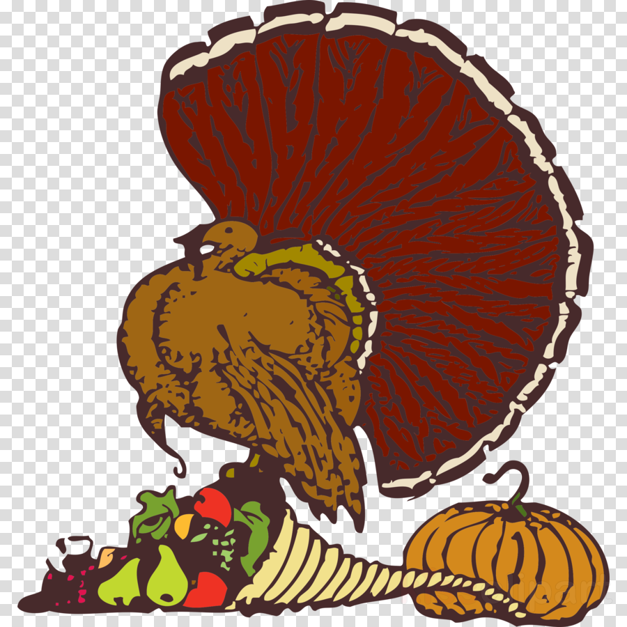 Stuff It Throw Blanket Clipart Thanksgiving Turkey (900x900), Png Download