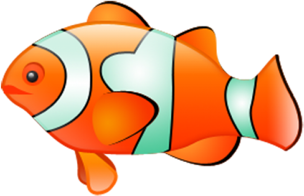 Clownfish Png (640x480), Png Download
