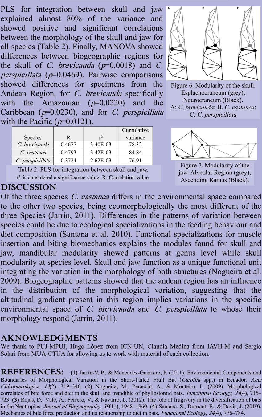 Deformation Grids Of The Jaw For The Three Species (850x1353), Png Download