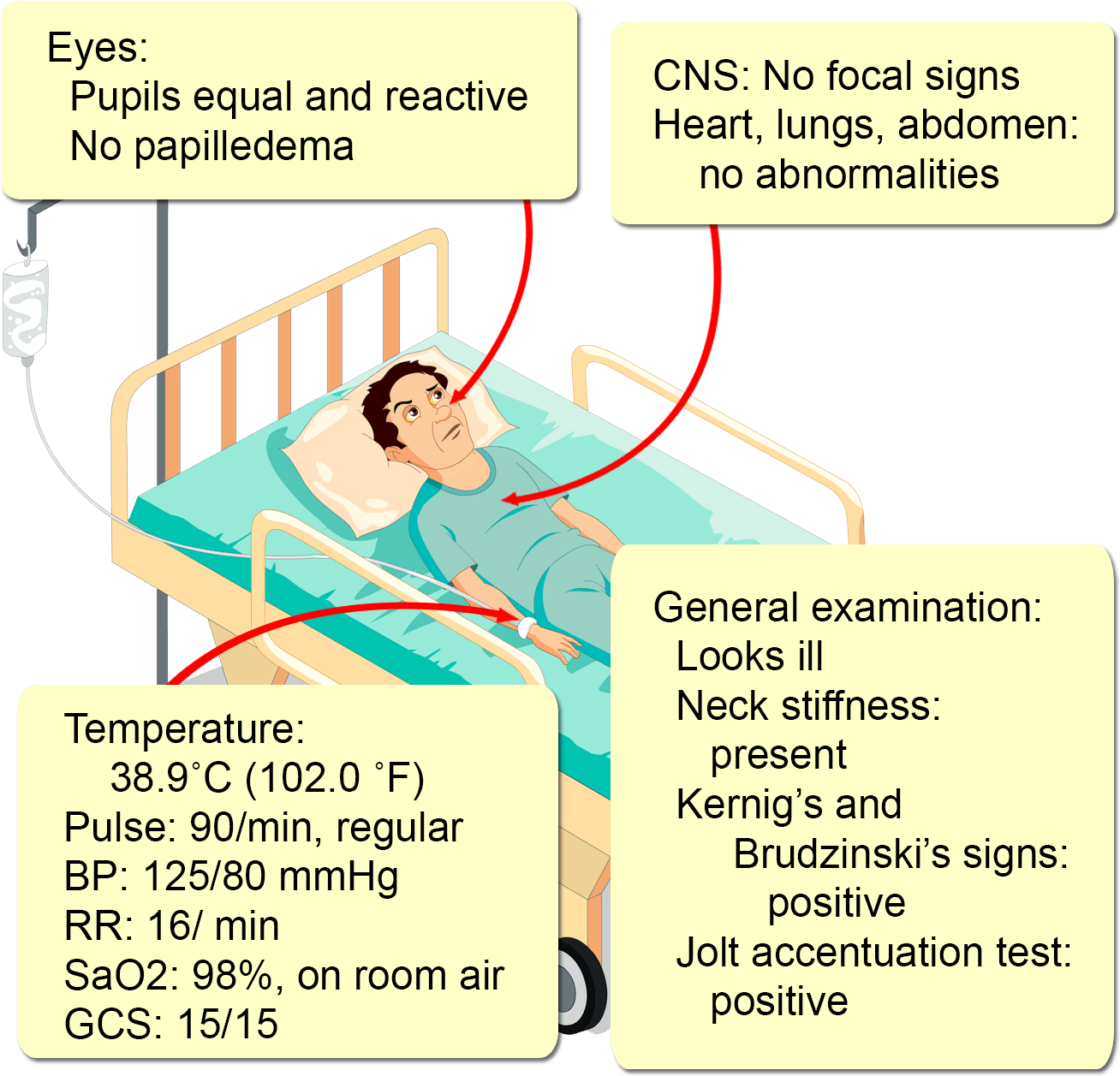 There Is No History Of Allergies (1330x1280), Png Download