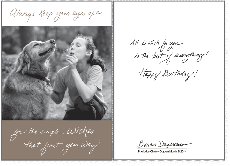 Always Keep Your Eyes Open (800x600), Png Download