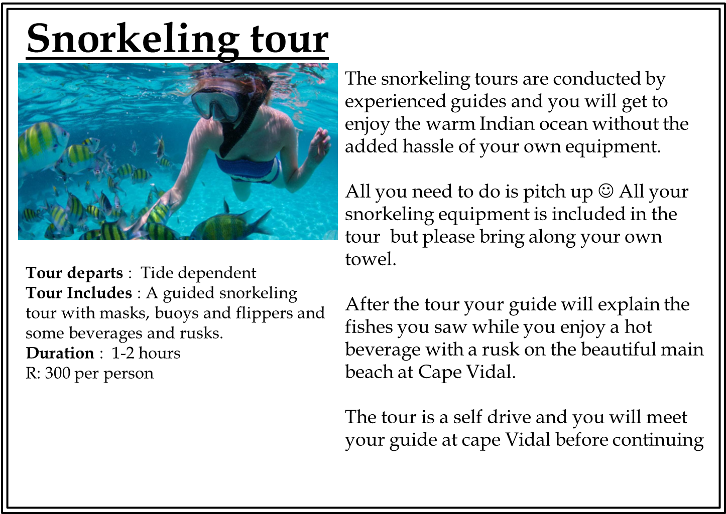 Snorkel (1446x1025), Png Download