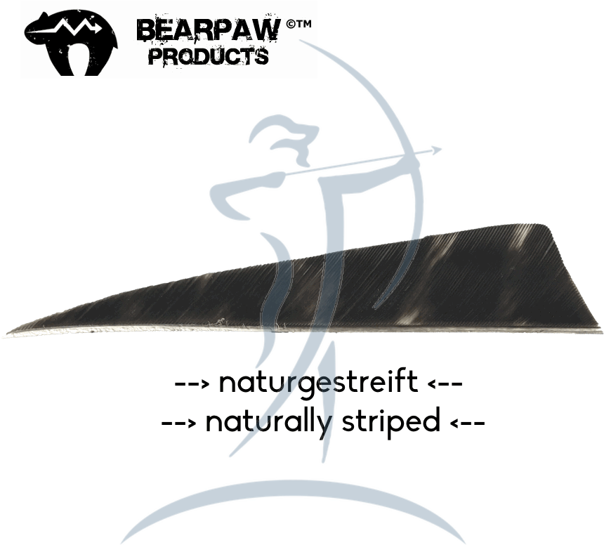 Bearpaw Feathers 4" Rw Shield "naturally Striped" (900x900), Png Download