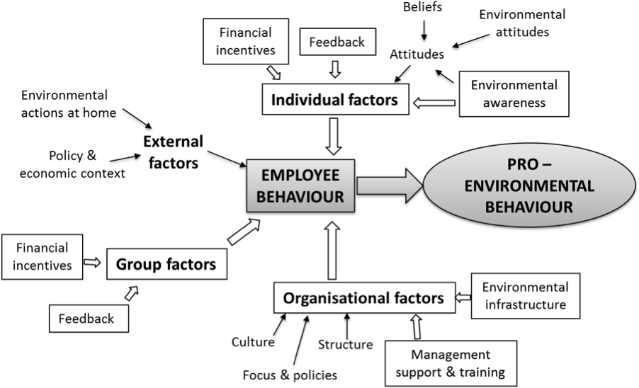 William Young Fig (916x566), Png Download