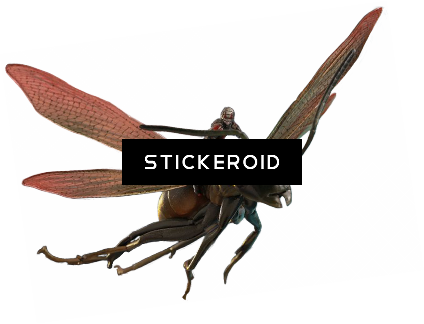 Ant-man (846x646), Png Download