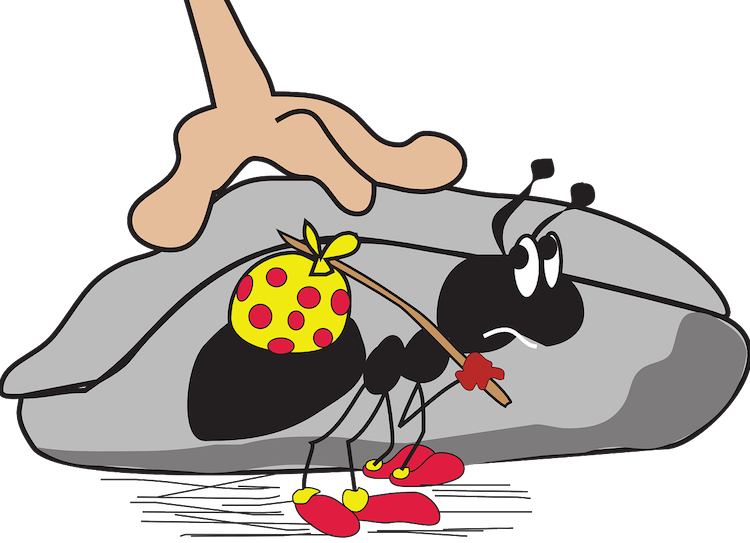 15 Ways To Get Rid Of Ants In The Kitchen Naturally (750x543), Png Download