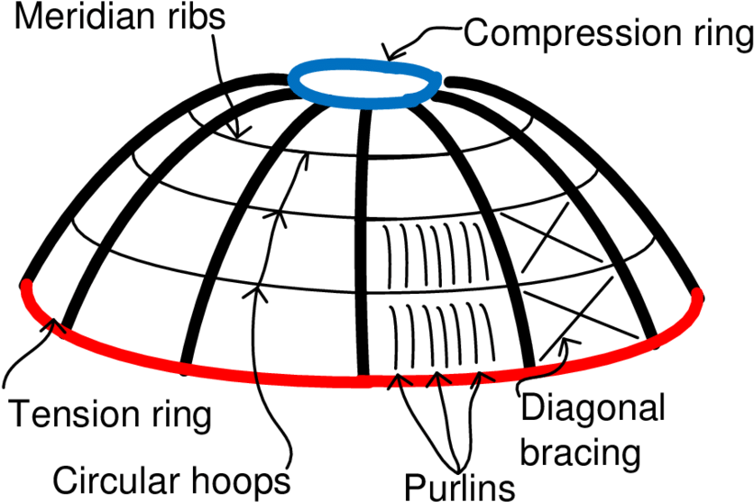 Primary And Secondary Members Of A Typical Radial Rib (850x563), Png Download