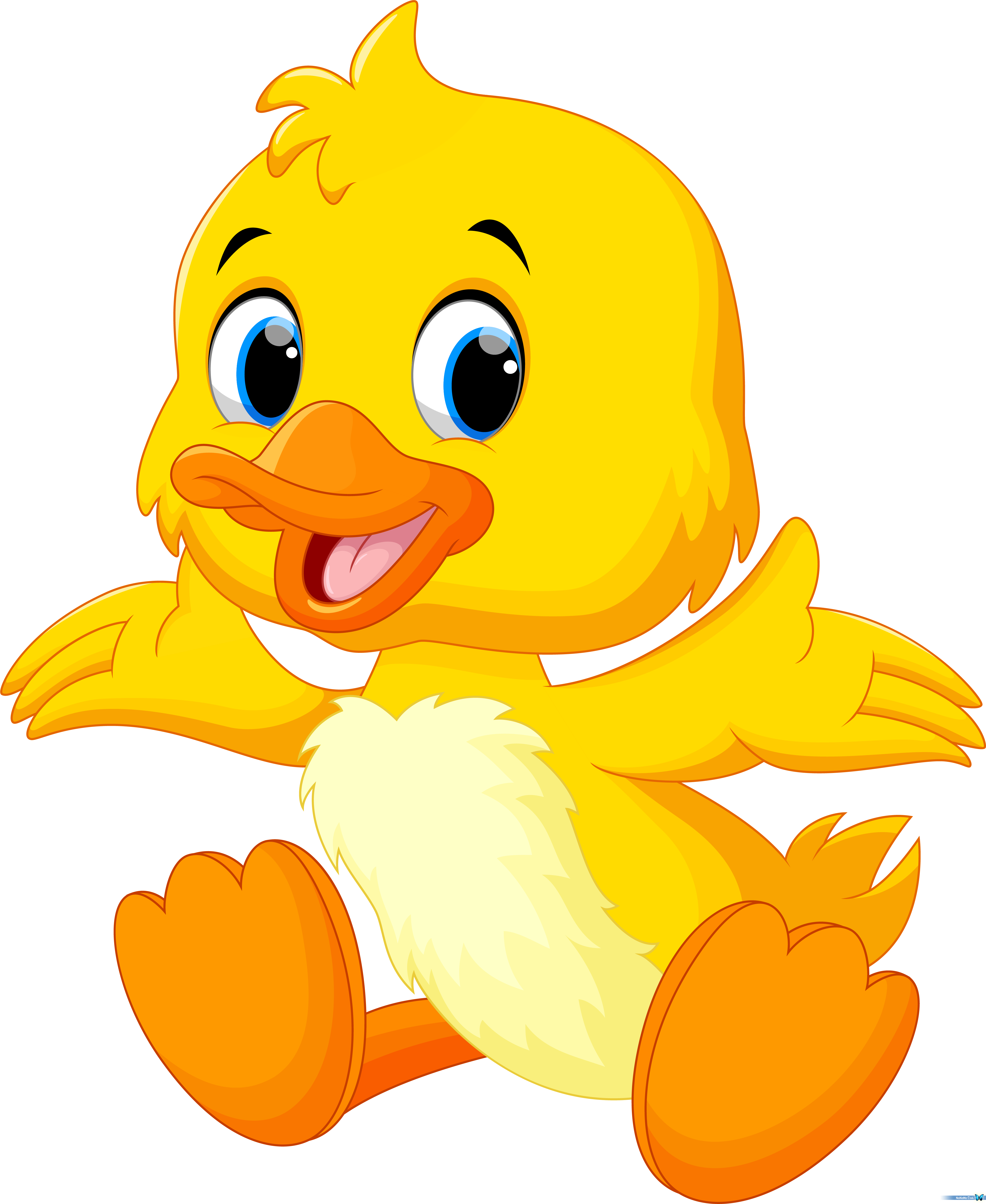 Baby Duck Images (4327x5282), Png Download