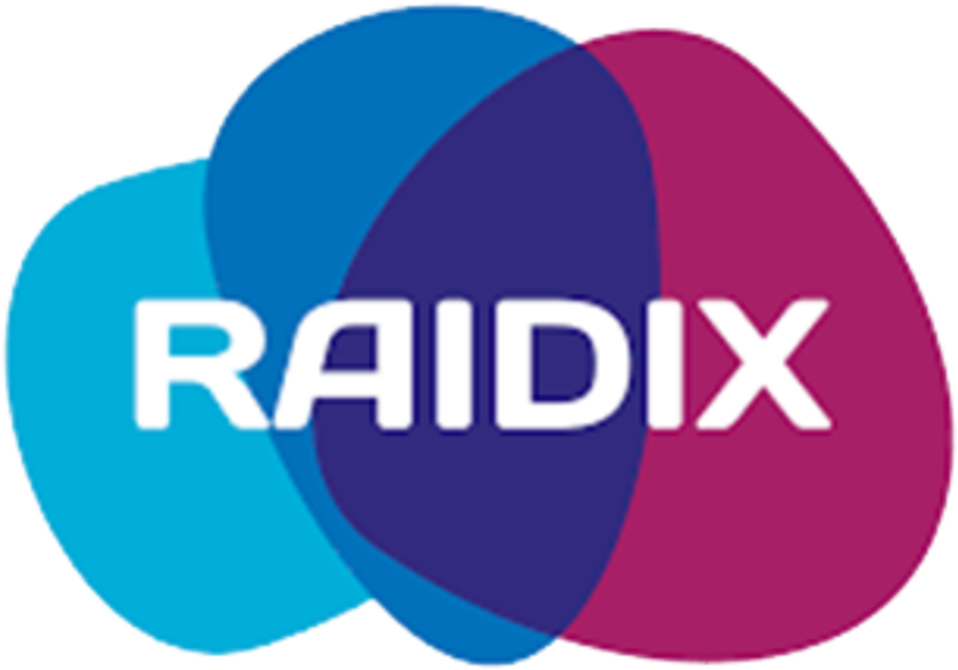 Raidix Is An Innovative Solution Provider And Developer (1000x1000), Png Download
