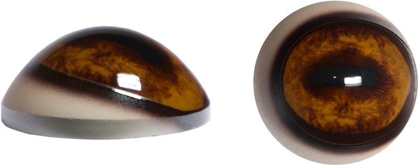 Elk-pr (838x838), Png Download