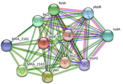 Sepf Protein (976x329), Png Download