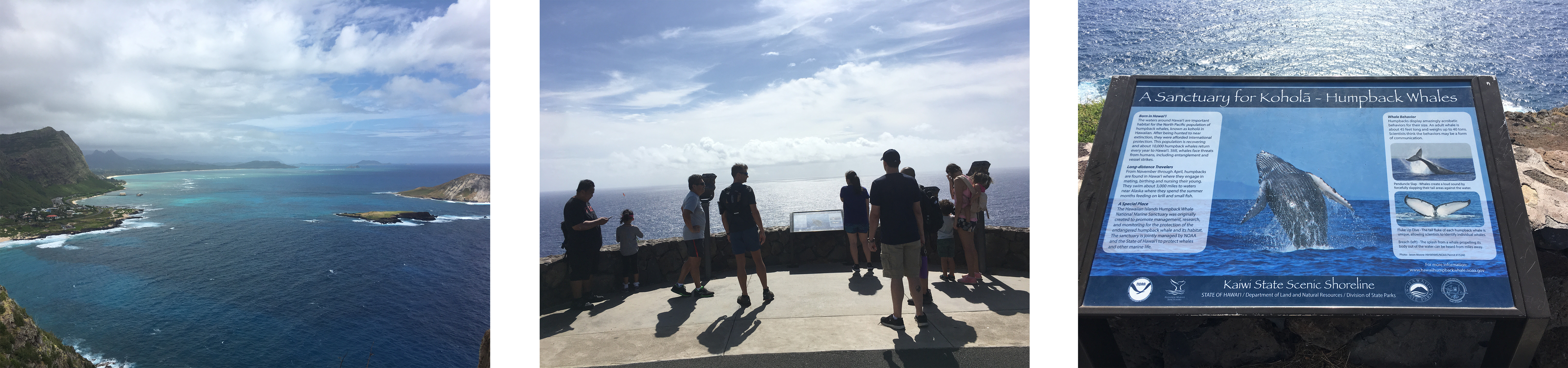 Check Out More Photos From The Hike (6000x1407), Png Download