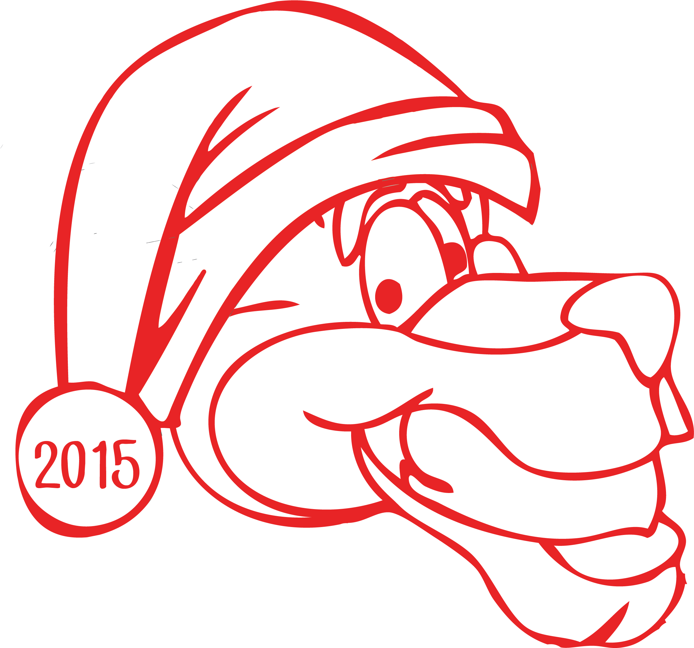 carolina panthers santa hat