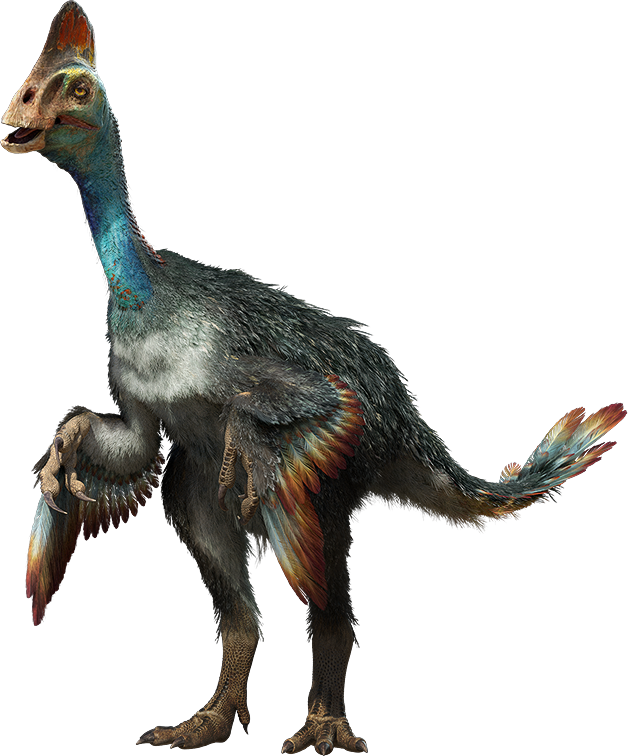 Chirostenotes Is A Genus Of Oviraptorosaurian Dinosaur (628x756), Png Download