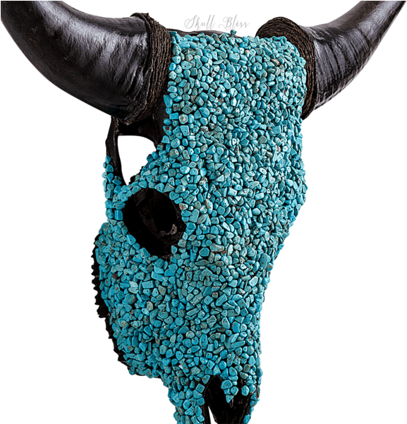 Decorated Cow Skull // Xl Horns (600x600), Png Download