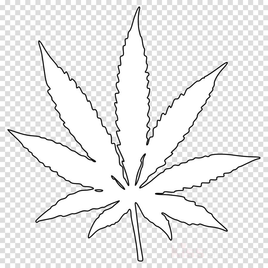 Marijuana Leaf White Png Clipart Cannabis Clip Art (900x900), Png Download